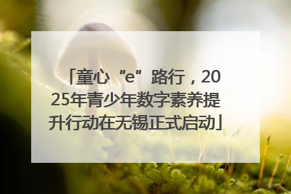 童心“e”路行，2025年青少年数字素养提升行动在无锡正式启动